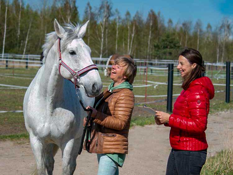 Pferdecoaching: Kommunikationstraining mit dem Pferd 